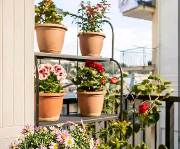 Affittacamere Privata Nell'appartamento In Zona Residenziale Con 2 Piscine